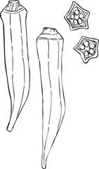オクラ　丸ごと・輪切り　手描き線画