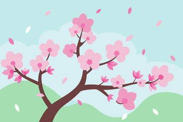 Fototapeta premium pink cherry blossom