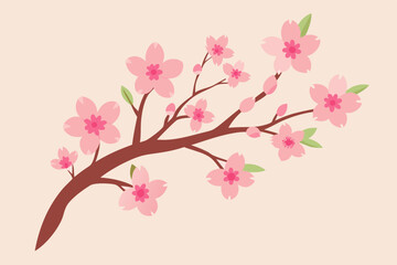 pink cherry blossom
