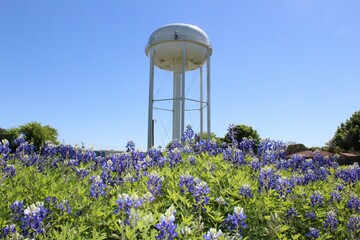 water tower in the garden