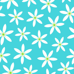 February 27th Birth Flower Star of Arabia Graphic Design Pattern 1