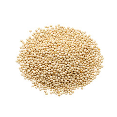 A pile of quinoa seeds against a black background