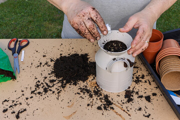 Man Sowing Flower Seeds into a Planter on a garden Potting Bench