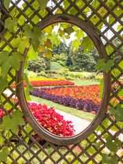 View of Beutiful Pathway through Flowers and Forrest.