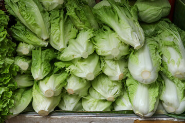 Fresh romaine lettuce neatly stacked at a market with cut stems facing outward, highlighting crisp...