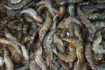Fresh raw shrimps, top view close up