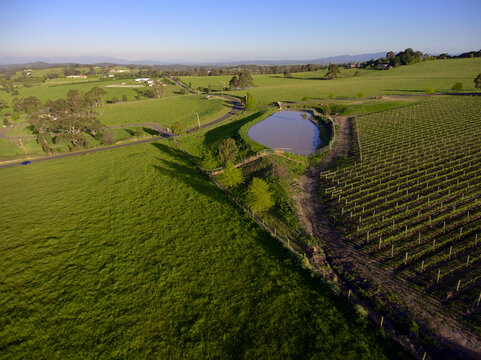 Dam on a Vineyard in Kangaroo Ground