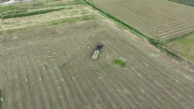 Aerial truck loads alfalfa hay farm field tilt down. Family hauling baled hay out of field truck and trailer. Community agricultural economy. Summer harvesting of alfalfa hay agriculture.
