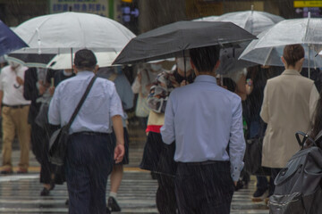 雨の大阪駅前を行き交う通勤客の朝の風景