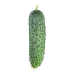 Fresh green cucumber isolated on transparent background