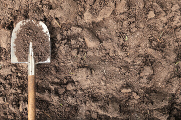 Digging brown soil, ground texture background with copy space and shovel on garden bed in farm...