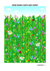 Page sized visual math puzzle to learn counting with fun: How many ants are here? Answer included.
