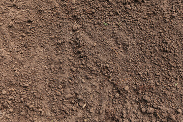 Empty brown soil ground abstract texture background with copy space top view