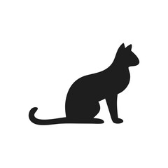 black cat on white background