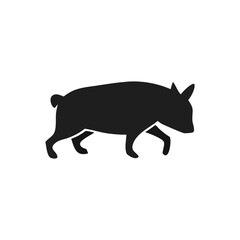 vector illustration of a pig