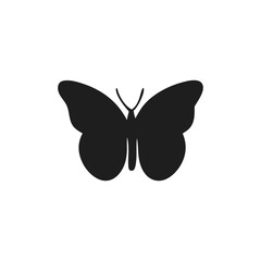 butterfly vector illustration