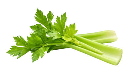 Two celery stalks one with leaves lay over the other Background is black