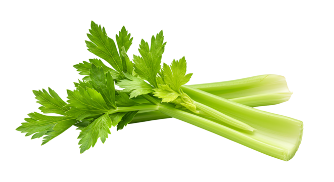 Two celery stalks one with leaves lay over the other Background is black