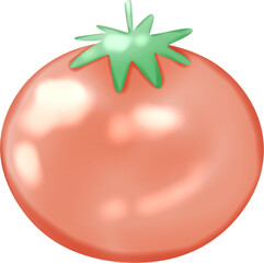 tomato isolated 