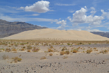 Vast sand dunes rise under a blue sky with scattered clouds in a desert landscape in Death Valley