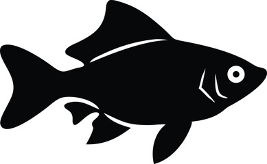 Platypus illustration on white background detailed vector graphic