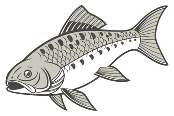 Detailed plecostomus fish illustration on white background