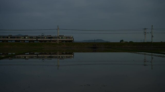 初夏の田園地帯を走る223系新快速 （東海道本線 安土 - 能登川, 2025年5月）