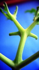 Close-up view of a vibrant green plant stem.