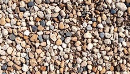 Earthy gravel texture with various rounded pebbles