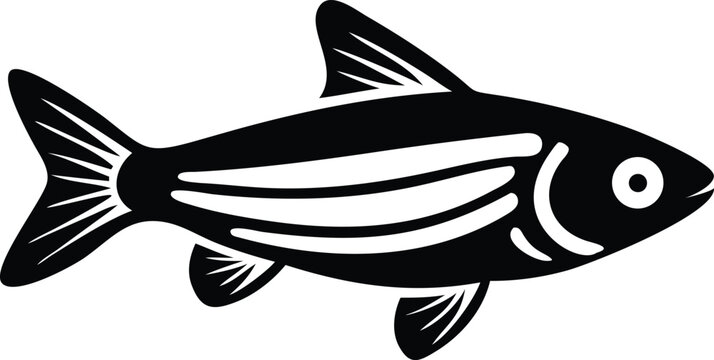 Detailed illustration of a zebra danio fish on white