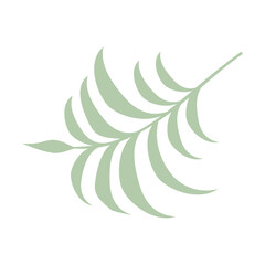 Modern Palm Leaf Branch Silhouette Isolated on Transparent Background