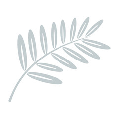 Symmetrical Oval Leaf Branch Silhouette Isolated on Transparent Background