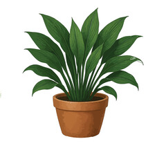 Potted indoor plant showcasing lush green leaves against a clean white background