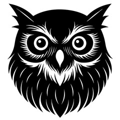 owl on white background