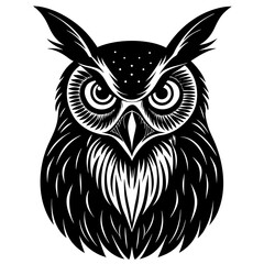 Fototapeta premium owl in the form of heart