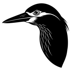 black and white bird