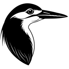 vector illustration of a bird
