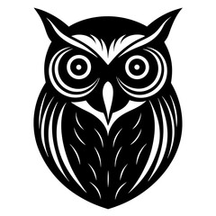 owl on white background