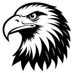 bald eagle head