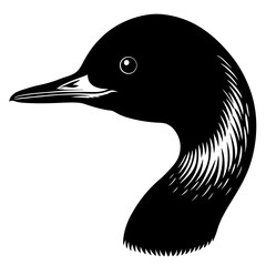black duck vector illustration