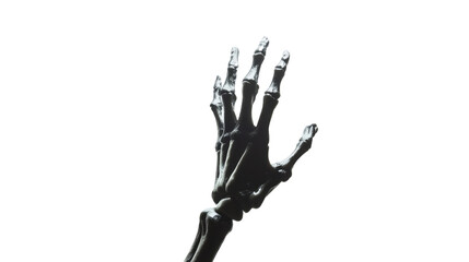 skeleton hand on white background