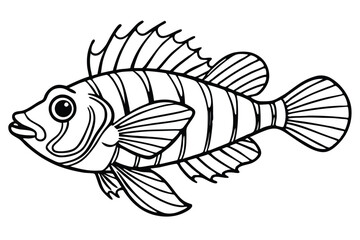Detailed scorpionfish illustration on white background