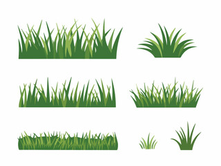 Collection of green grass blades illustration set for design projects and applications leaf lawn lush field image white