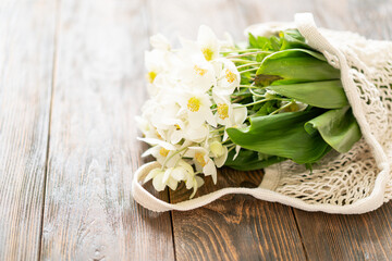 Beautiful white flower Helleborus niger. Christmas rose or black hellebore is an evergreen perennial flowering plant in the buttercup family Ranunculaceae.