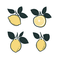 Lemon Fruit Silhouette with Half Cut and Leaves Vector