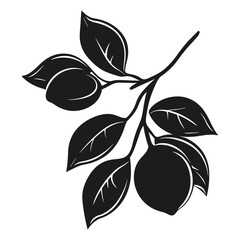 Collection of Lemon and Lime Silhouettes with Leaves Vector