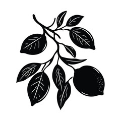Lemon Branch Silhouette with Two Fruits and Leaves Vector