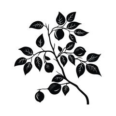 Lemon and Lime Branch with Leaves - Colorful Citrus Fruit Vector
