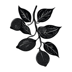 Lemon Branch Silhouette with Single Fruit and Leaves Vector