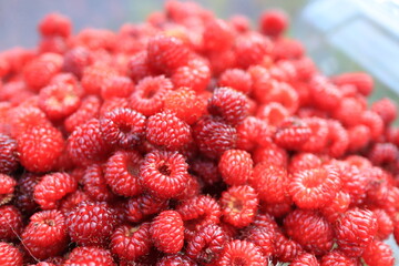 raspberry
